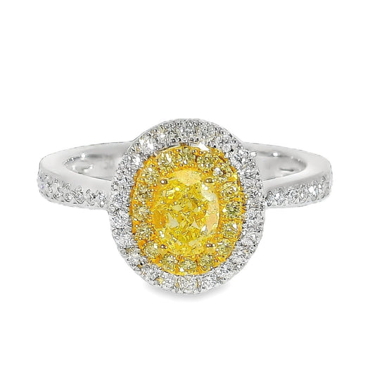 Fancy Yellow Natural Diamonds - 18kt White Gold